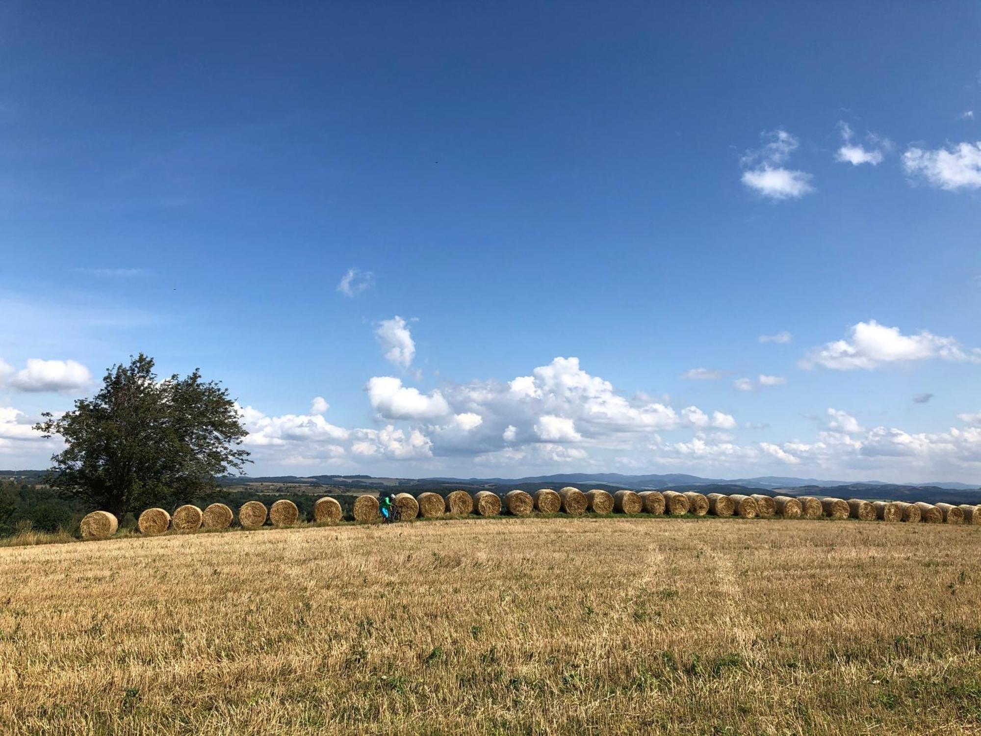 Grudza83 Bikepoint Gospodarstwo agroturystyczne