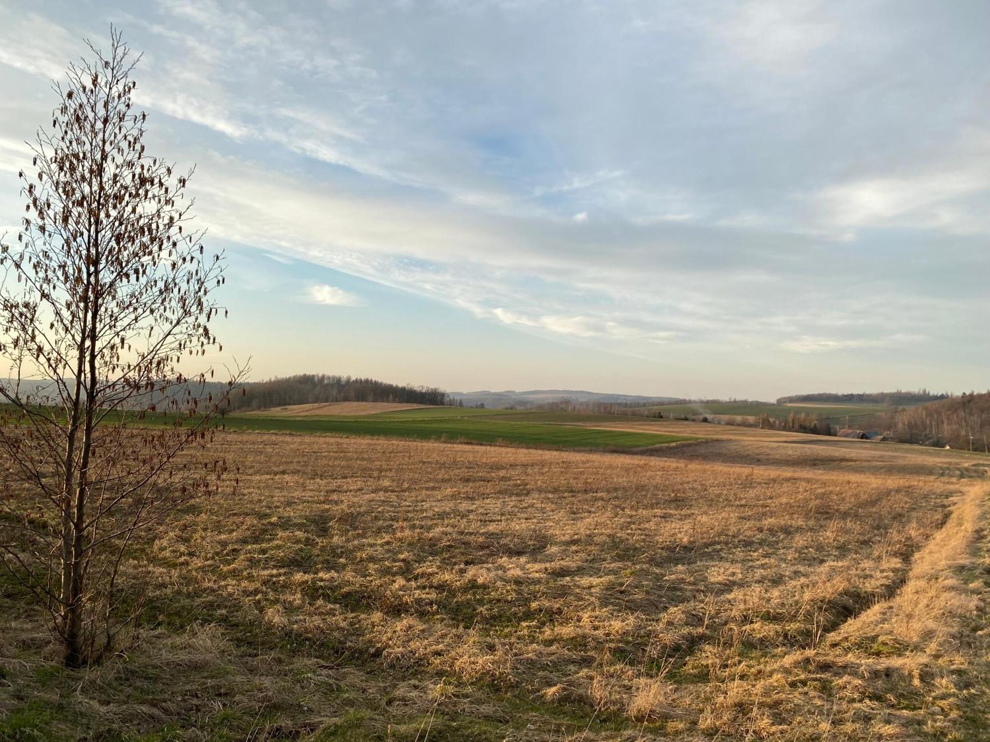 Grudza83 Bikepoint Mirsk